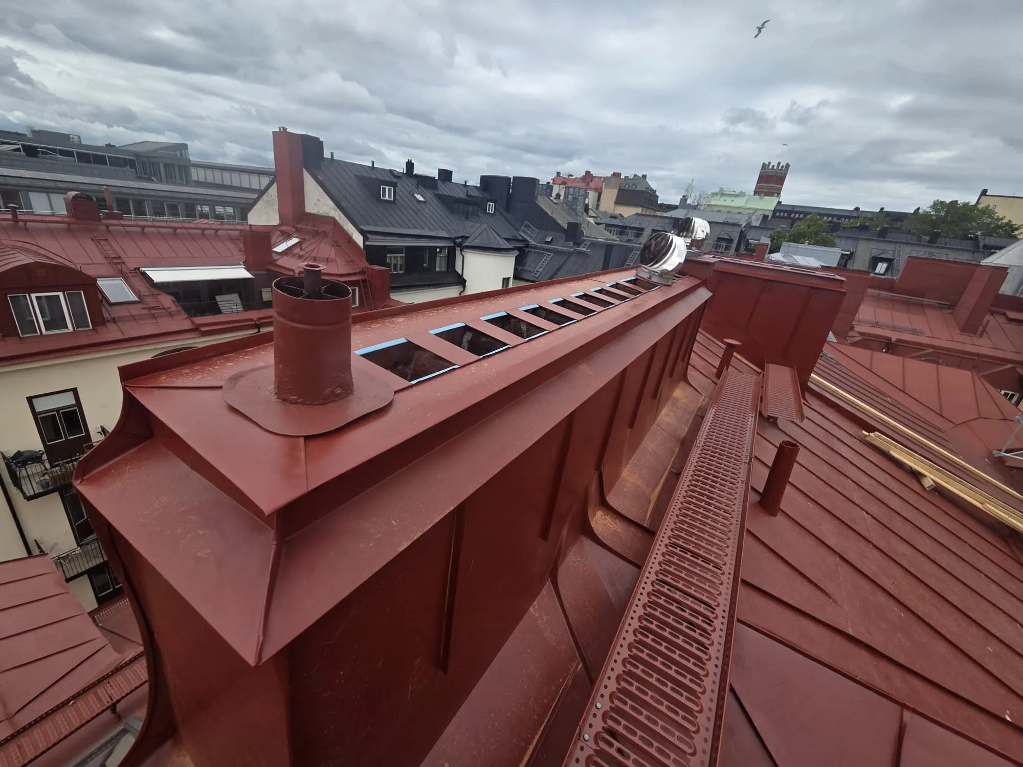 Plåttak över hustaken i Stockholm