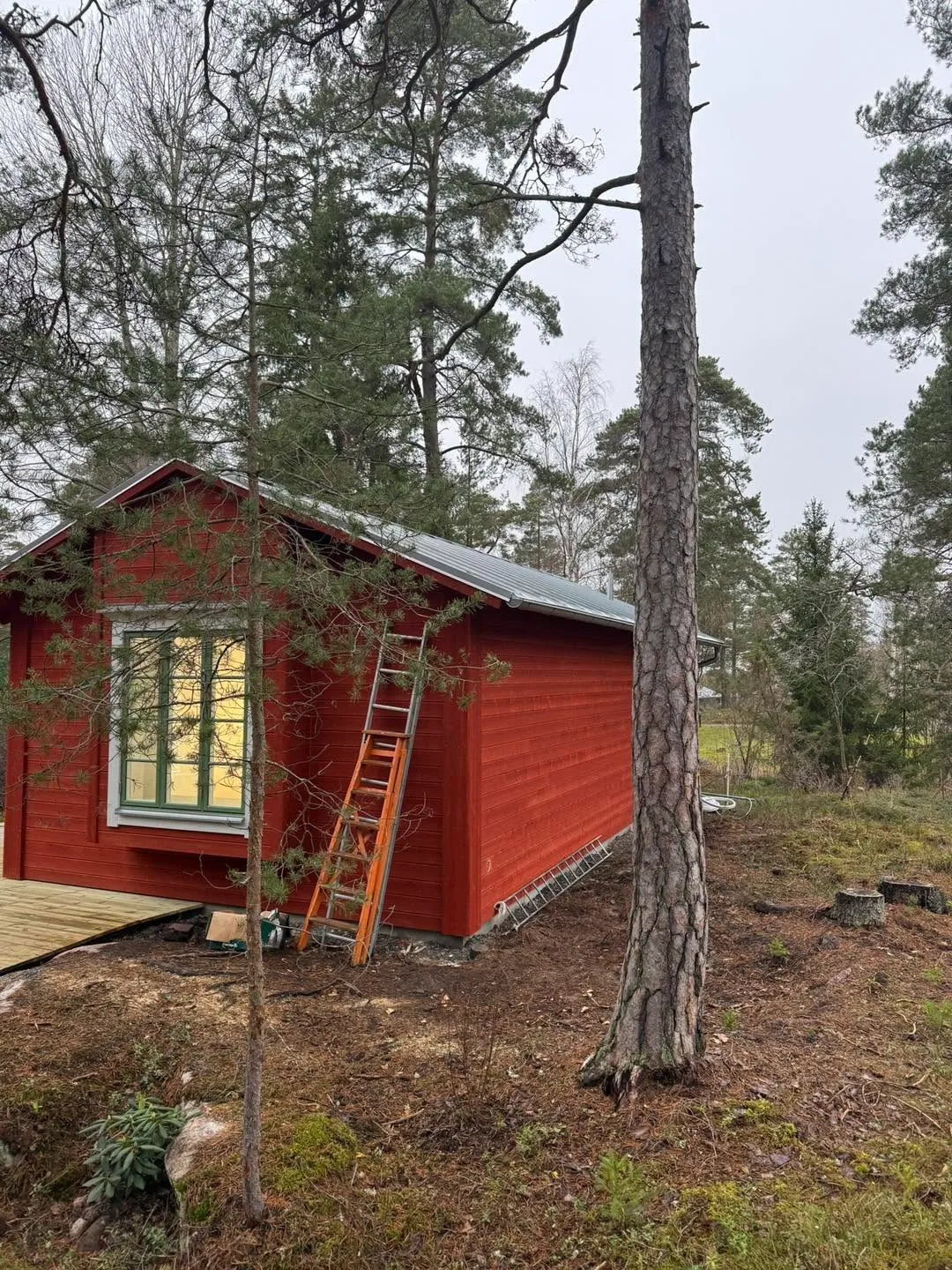 Röd stuga med nytt plåttak, stege mot taket